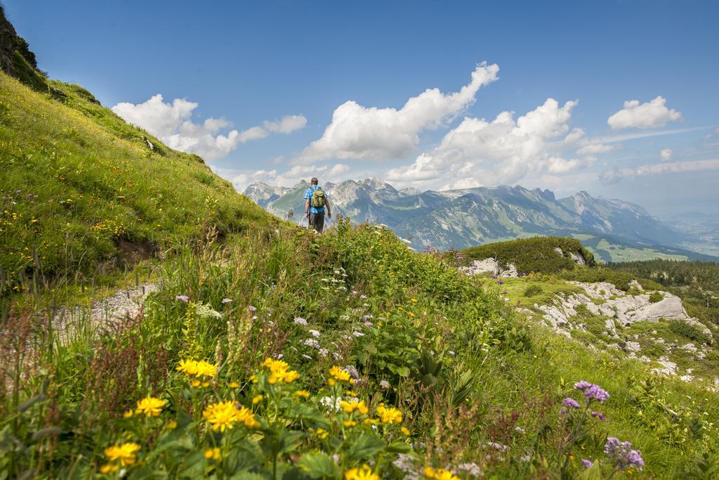 Berggasthaus Oberdorf Wildhaus Kültér fotó